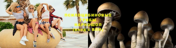 MESCALINE Белокуриха