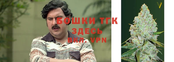 эйфоретик Белоозёрский
