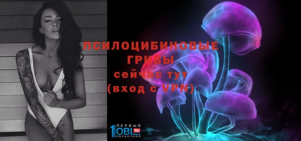 MESCALINE Белокуриха